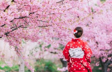 Sakura Zamanı Baştan Başa Japonya