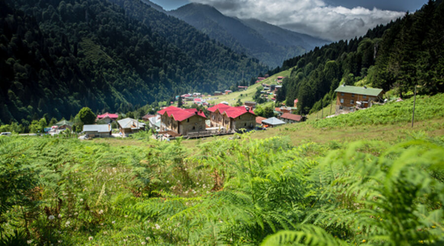 Prestij Otobüsle Karadeniz Yaylalar ve Batum Turları (6 Gece Otel)