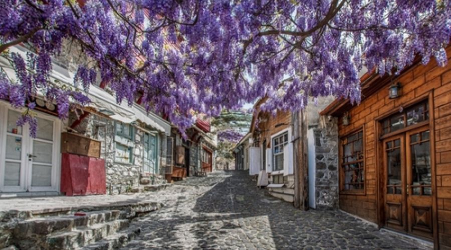 İzmir Çıkışlı Midilli Turu ( Kapı Vizeli )