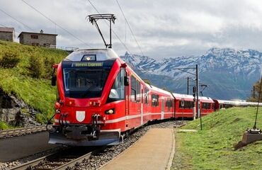 Trio Avrupa Rüyası & Alsace Turu