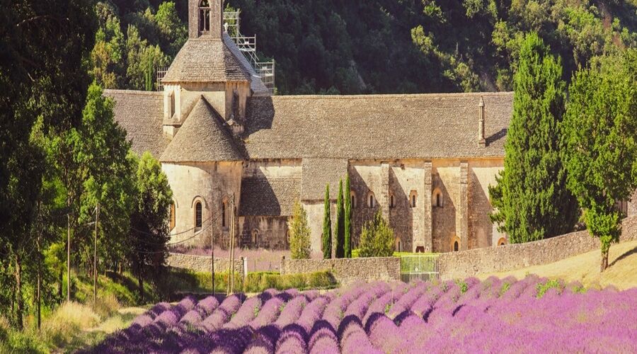 Lavanta Mevsiminde Provence  & Rhone Vadisi