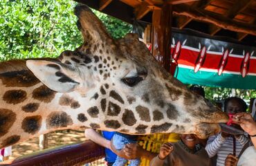 Kenya & Tanzanya & Zanzibar