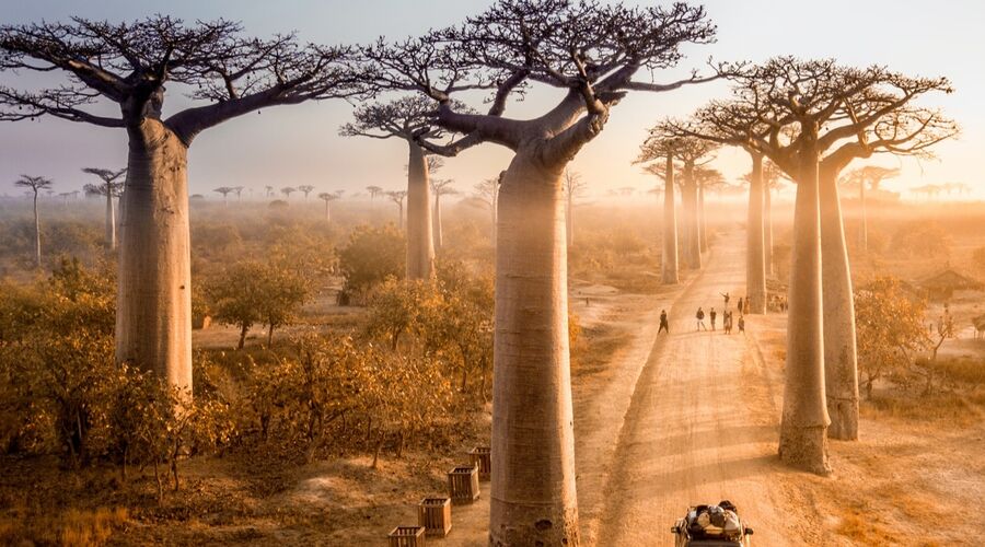 Hint Okyanusunun İncileri Madagascar Mauiritius