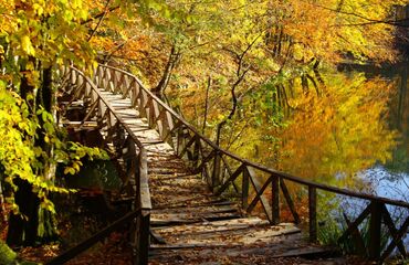 Abant Gölü Konaklamalı, Ağva, Şile, Ormanya, Maşukiye, Abant, Gölcük Turu