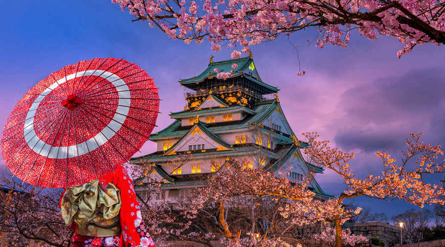 Grand Japonya Turu, Vizesiz -Turk Hava Yolları-